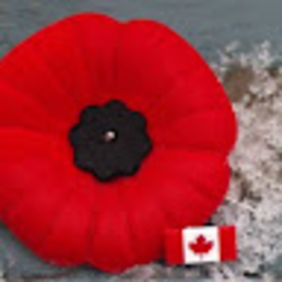 Meet your Posher, Beth - Picture 1 of 1